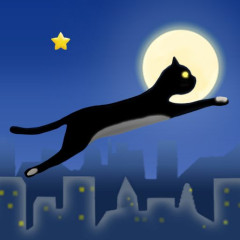 Mr Speedy The Cat
